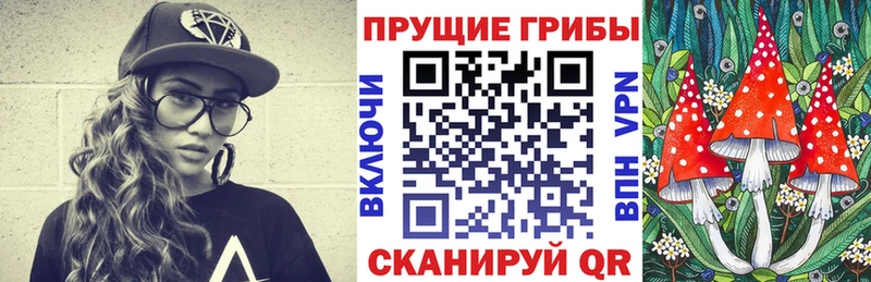 Купить где  Вышний Волочёк  Галлюциногенные грибы Psilocybe 
